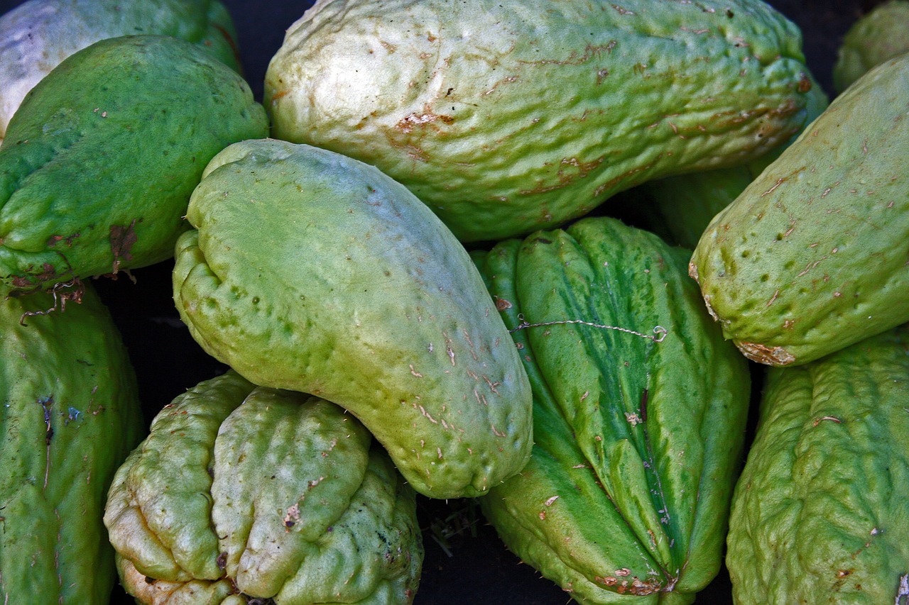 chayote local and seasonal vegetables mauritius