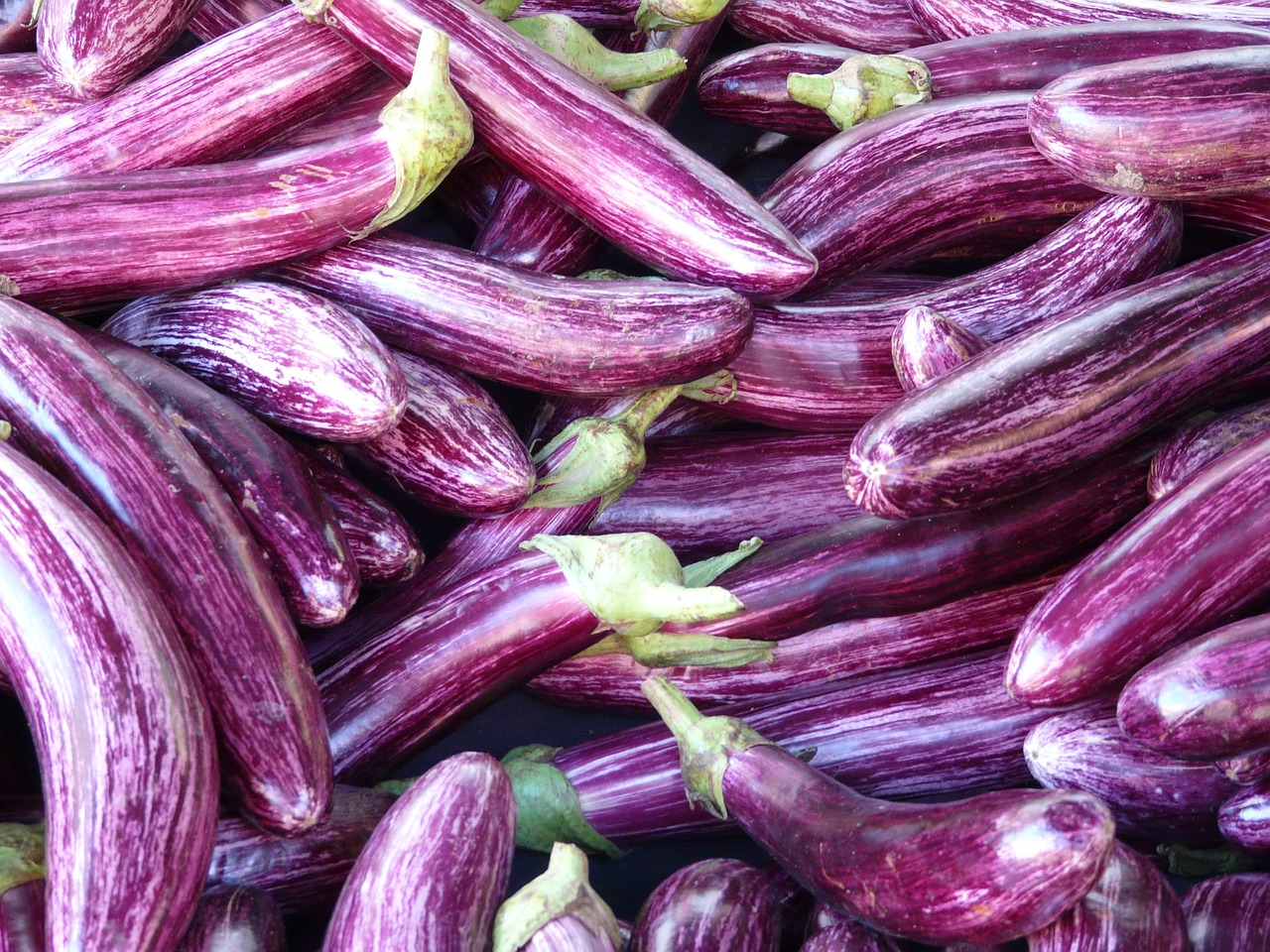 aubergines légumes de saison et locaux maurice
