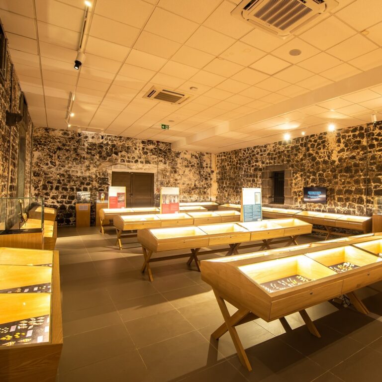 Where Art Meets History Top Art Galleries And Museums In Mauritius 