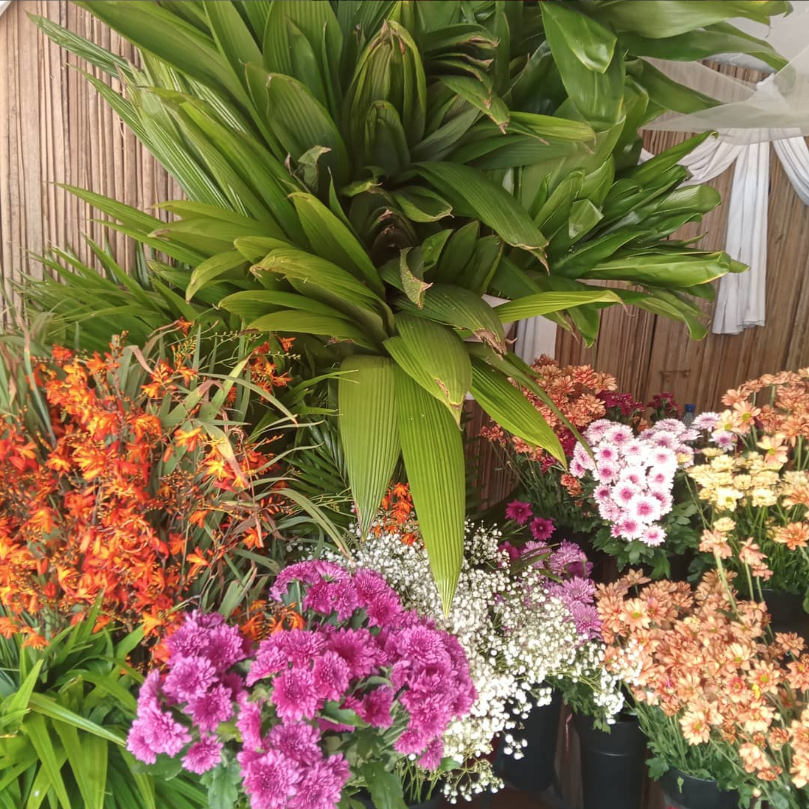 Des fleurs magnifiques que nous aimons : Voici les meilleurs fleuristes en ligne de l'île Maurice pour des fleurs magnifiques, des bouquets personnalisés et des services de livraison.