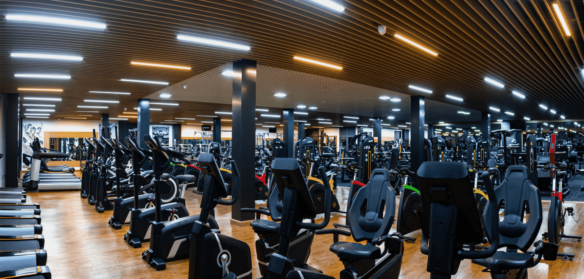 Best Gyms in Mauritius