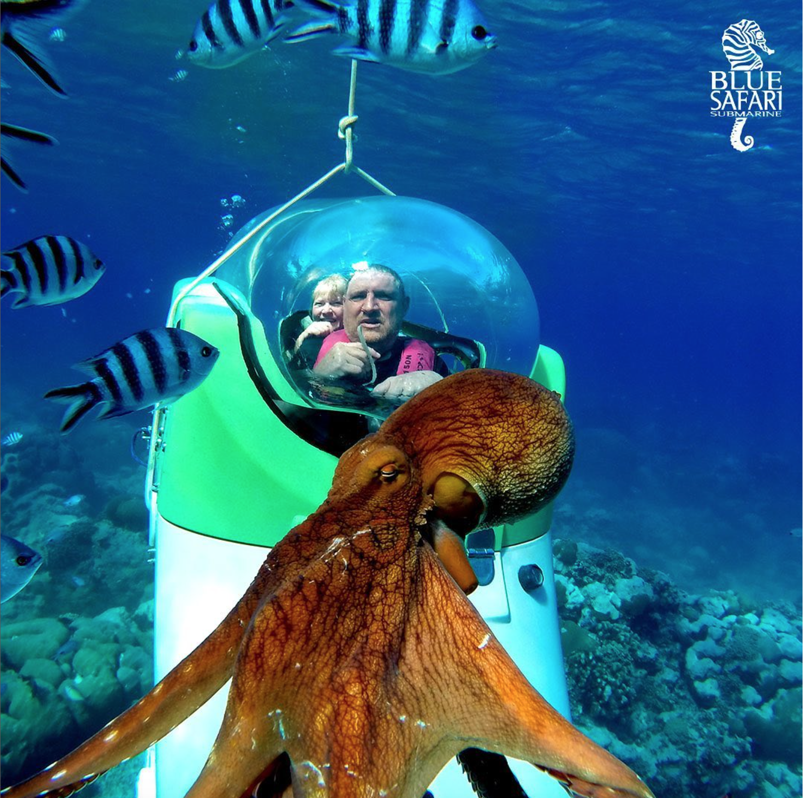 Aventures inoubliables en famille à l'île Maurice - Activités passionnantes avec les enfants