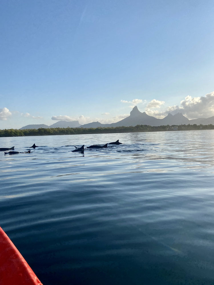 excursion en kayak a l'ile maurice