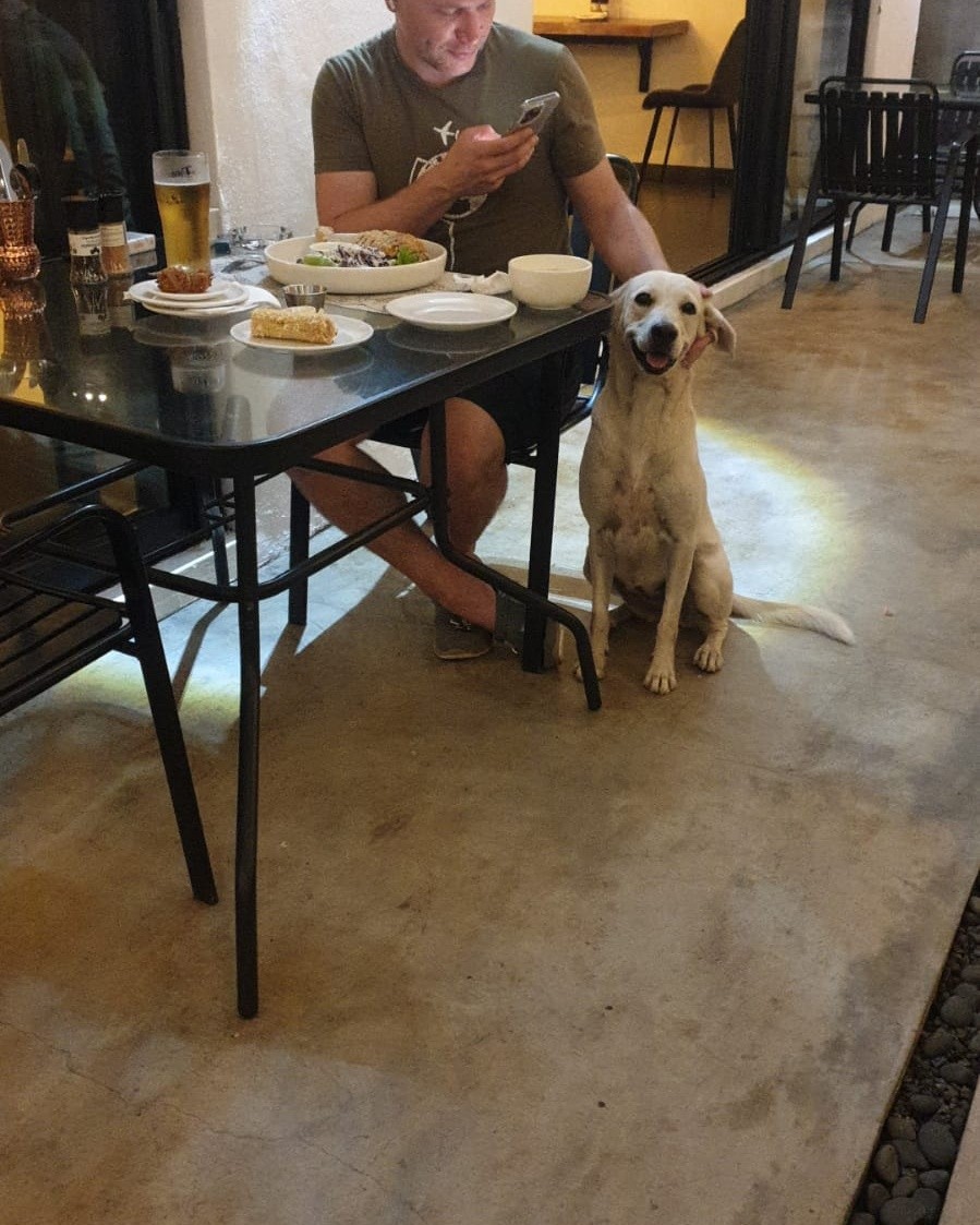 pet-friendly restaurants in mauritius