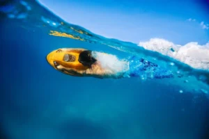 scooter de mer seabob à l'ile maurice