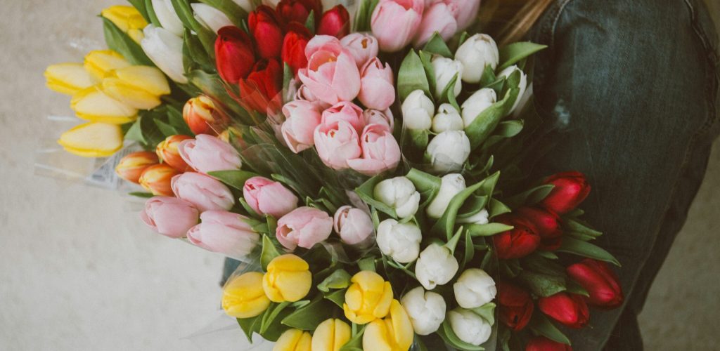 alisa-anton-OyXkIJSB09M-unsplash