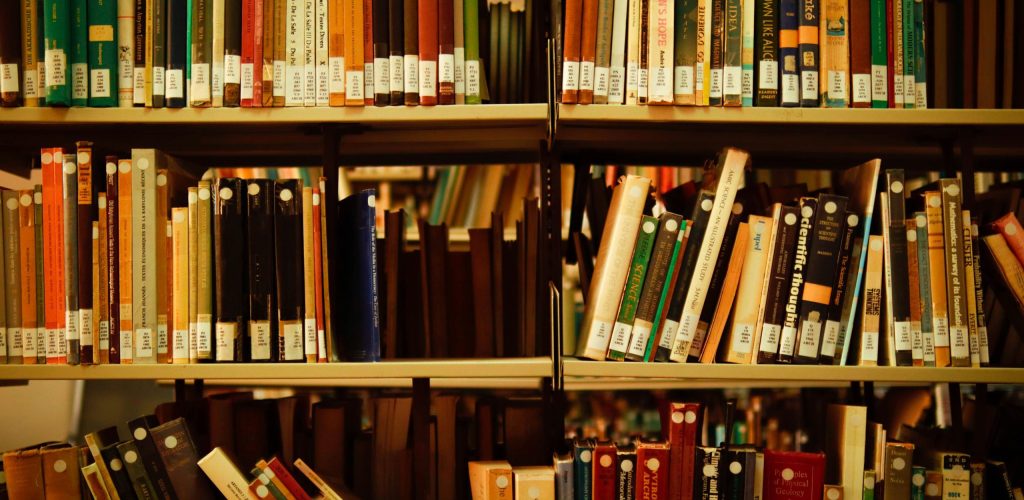 book lovers guide to mauritius