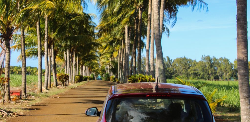 process car rental mauritius