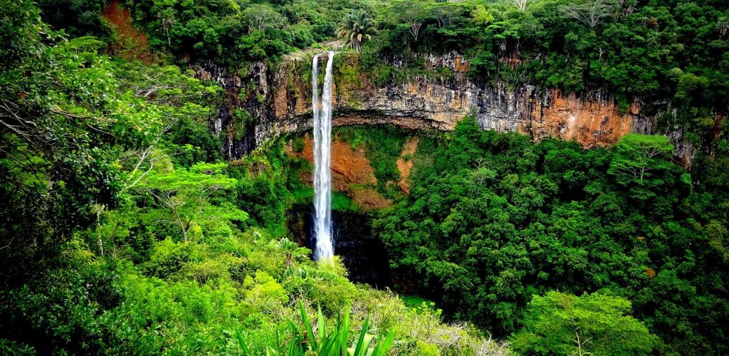 green living in mauritius